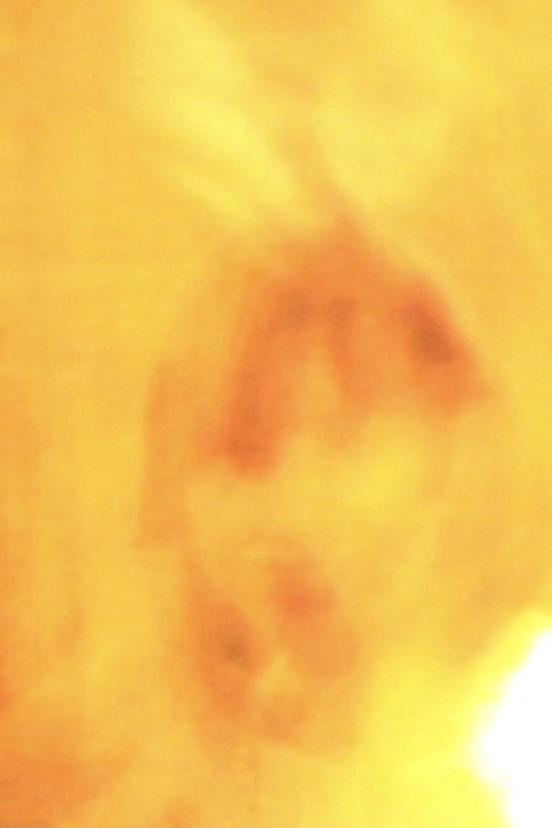 Movie poster for Autumn (2011)