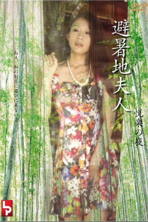 Movie poster for The Lady of the Summer Resort: A Night of Pleasure (2008)