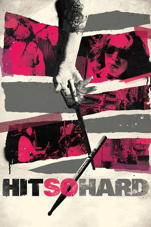 Movie poster for Hit So Hard (2012)