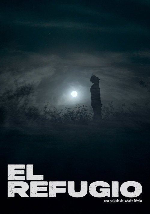 Movie poster for The Shelter