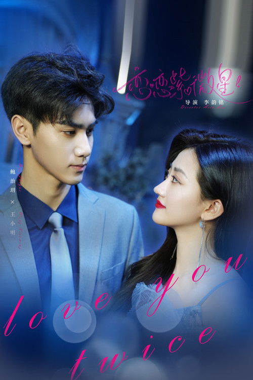 Love You Twice poster