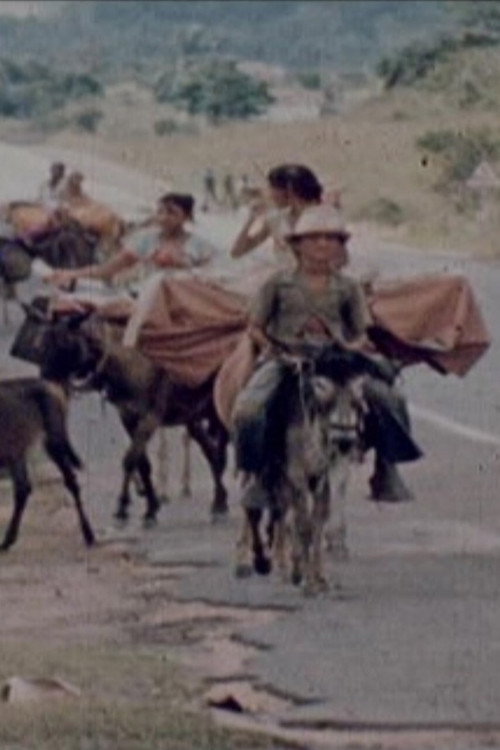 Movie poster for Ciganos do Nordeste (1977)