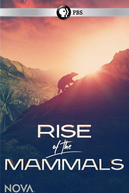 Movie poster for Rise of the Mammals (2019)