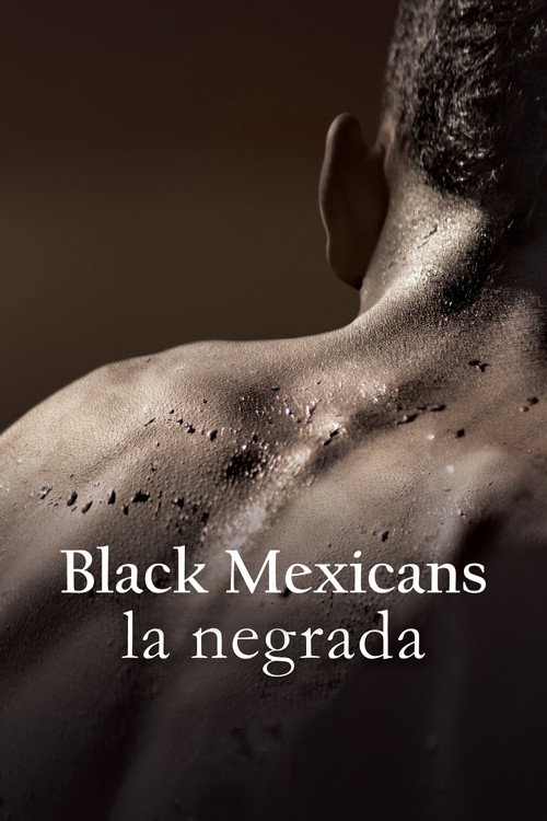 Movie poster for Black Mexicans (2018)