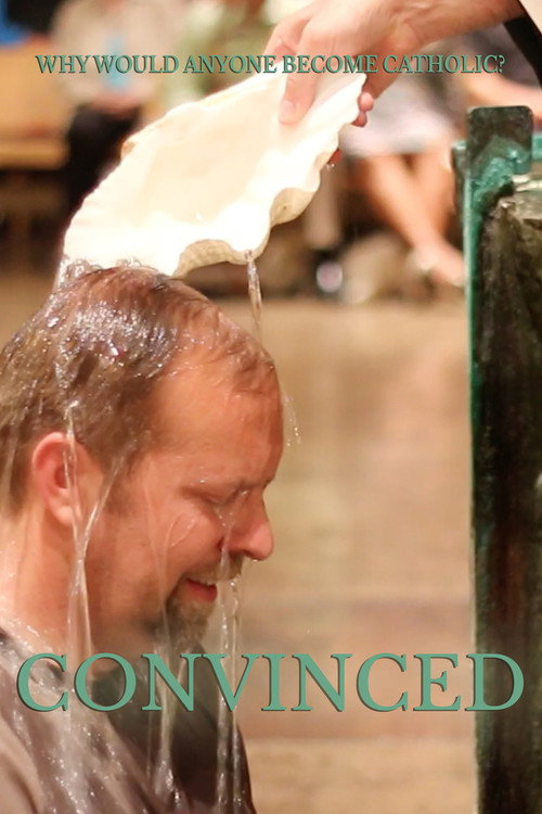 Movie poster for Convinced (2015)