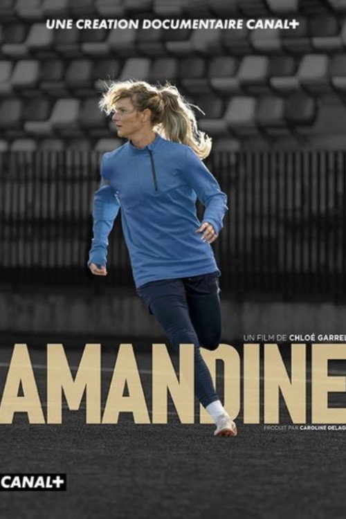 Movie poster for Amandine (2024)