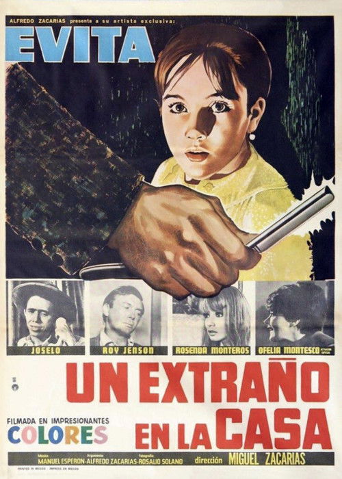 Movie poster for Stranger in the House (1968)