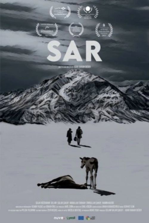 Movie poster for Soğuk (2022)
