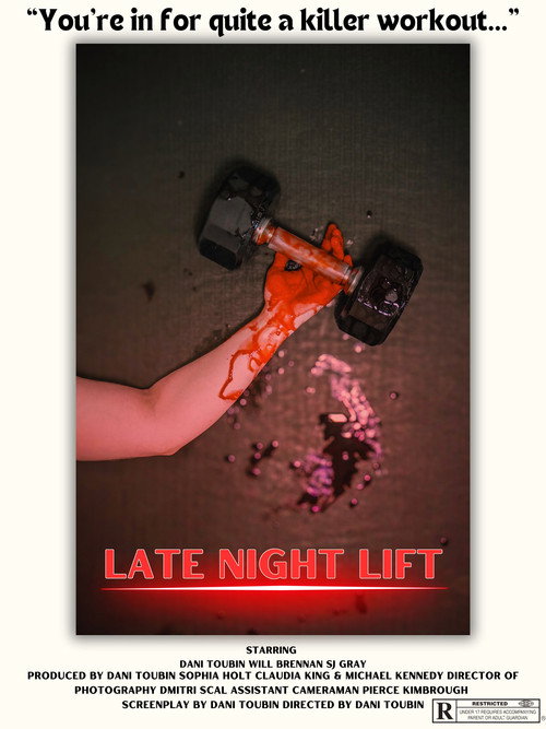 Movie poster for Late Night Lift (2024)