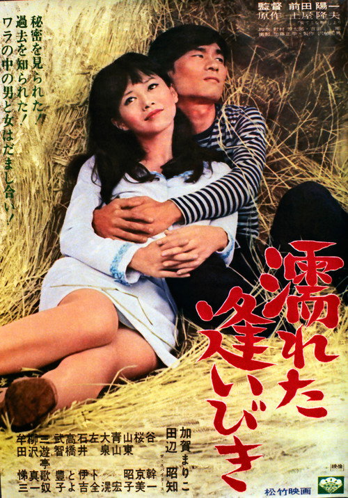 Movie poster for Wet Encounter (1967)