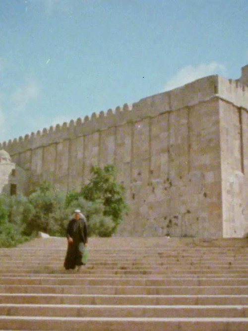 Movie poster for Souvenirs from Hebron (1982)