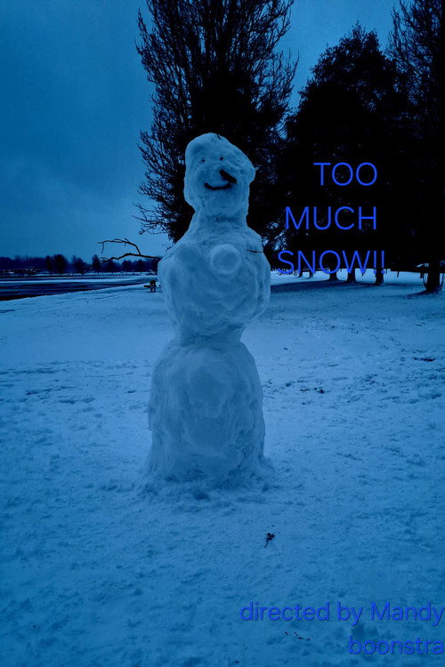 Movie poster for a lot of snow! (2026)