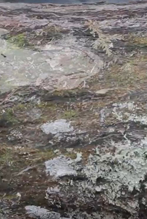 Espace Mouvant poster