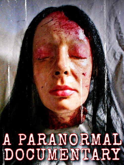 Movie poster for A Paranormal Documentary (2020)