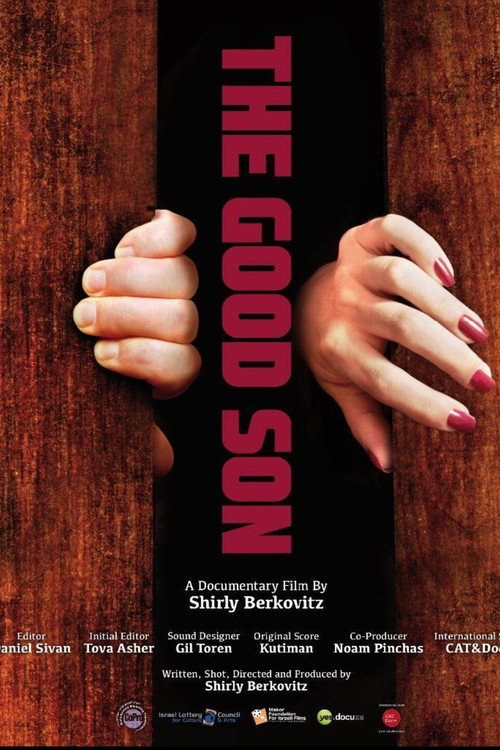 Movie poster for The Good Son (2012)