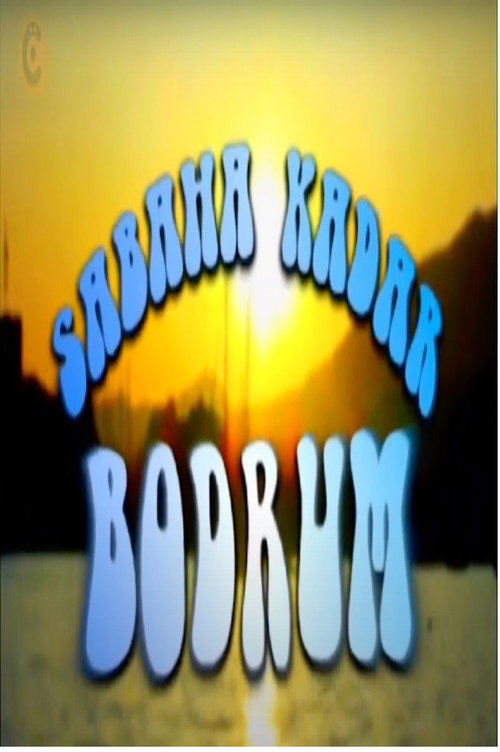 Movie poster for Sabaha Kadar Bodrum (2008)
