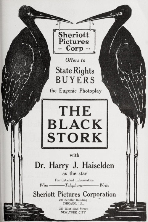 Movie poster for The Black Stork (1917)