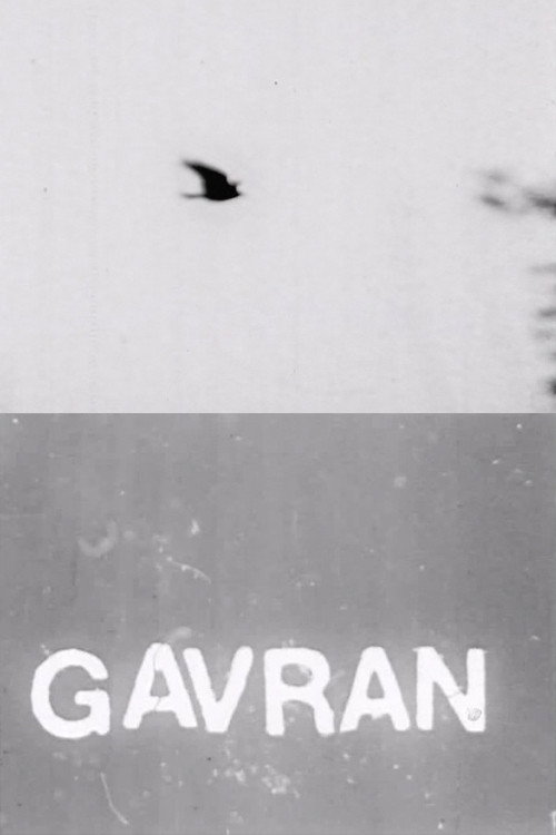 Movie poster for The Raven (1973)