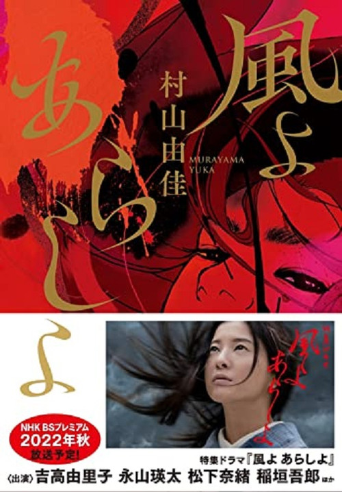 The Wind, The Storm poster