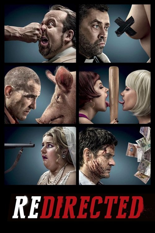 Movie poster for Redirected (2014)