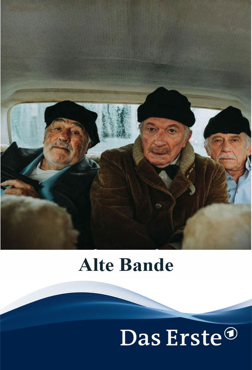 Movie poster for Alte Bande (2019)