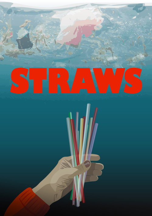Movie poster for Straws (2017)