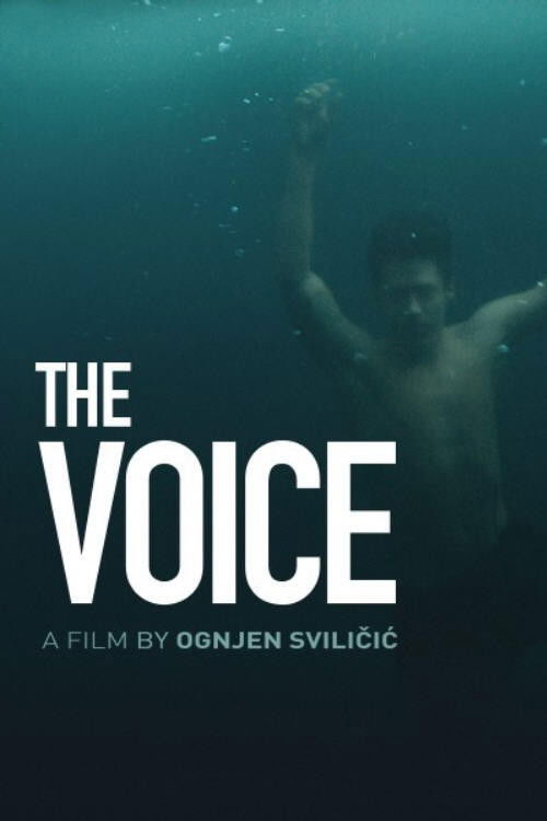 Movie poster for The Voice (2019)