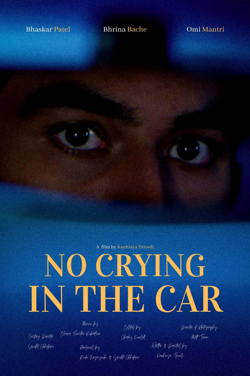 Movie poster for No Crying in the Car