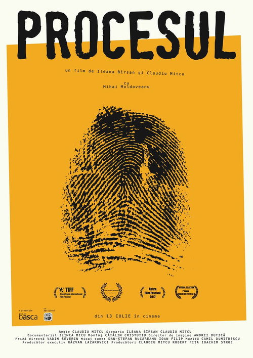 Movie poster for The Trial (2017)