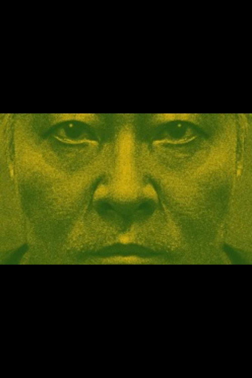Movie poster for Brasileano
