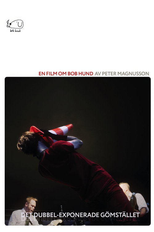 Movie poster for Det Dubbel-exponerade gömstället (2012)