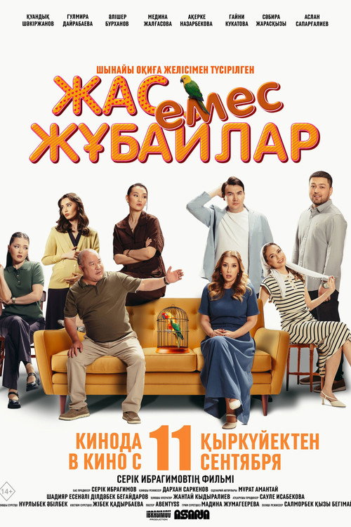 Movie poster for Not A Young Couple (2025)