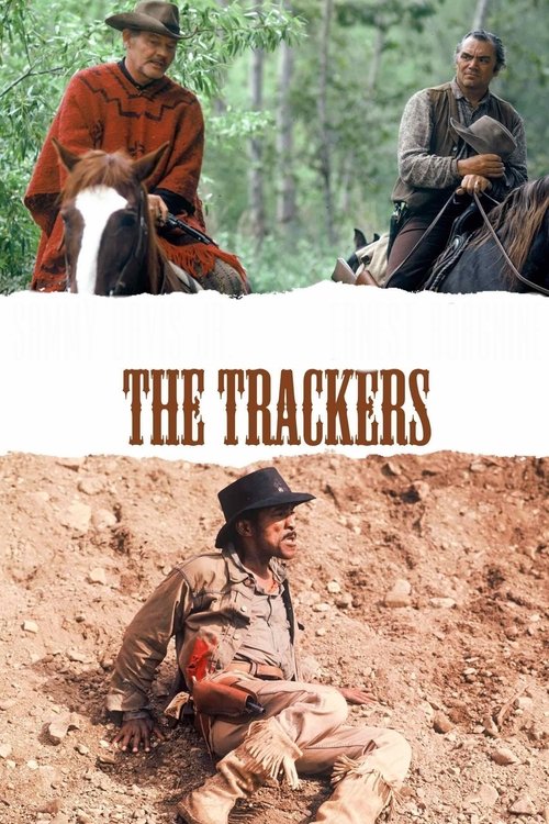 Movie poster for The Trackers (1971)