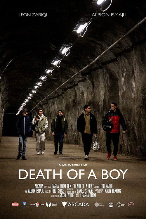 Movie poster for Death of a Boy (2021)