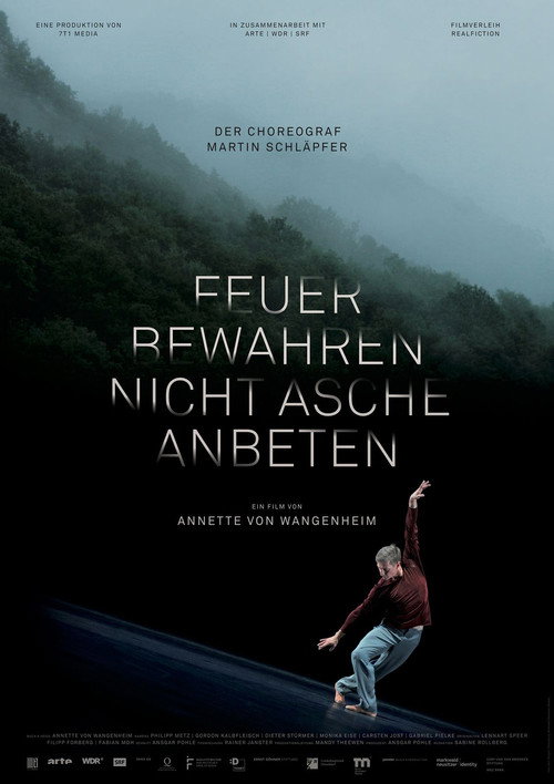 Movie poster for Feuer bewahren, nicht Asche anbeten (2016)