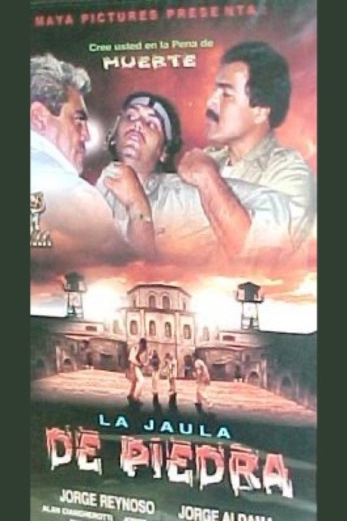 Movie poster for La jaula de piedra (2002)