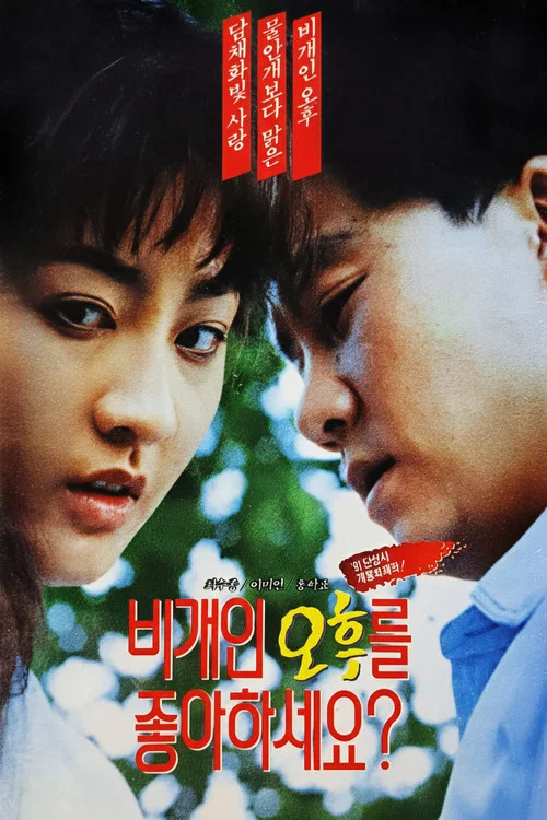 Movie poster for Do You Like Afternoons After a Storm? (1991)