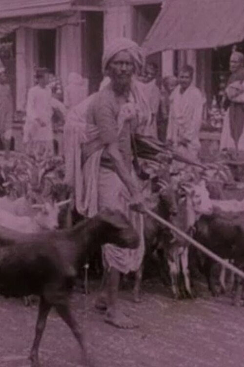Movie poster for Picturesque India or, In and About Calcutta (1913)