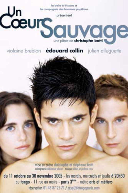 Movie poster for A Wild Heart (2006)