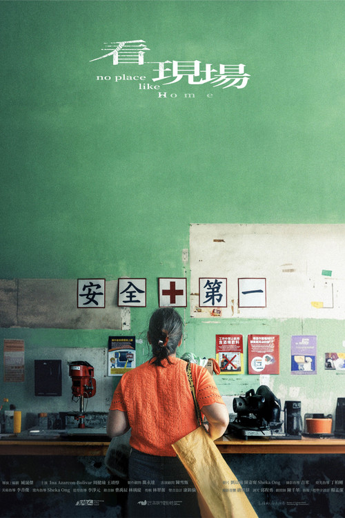 Movie poster for No Place Like Home (2025)