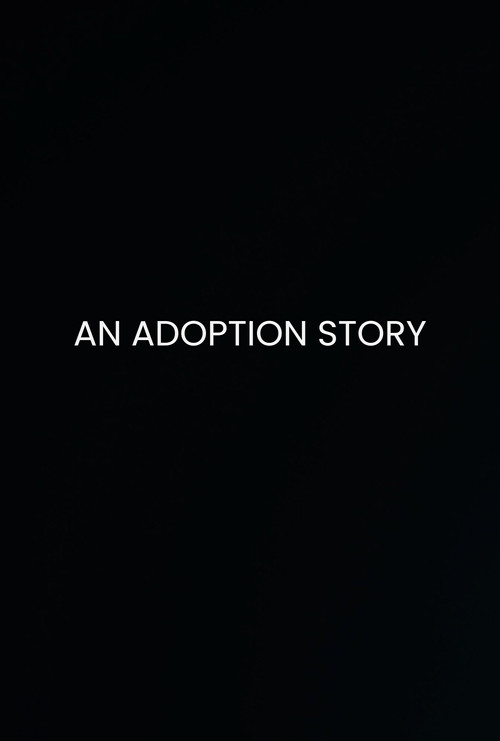 Series poster for An Adoption Story (2022)