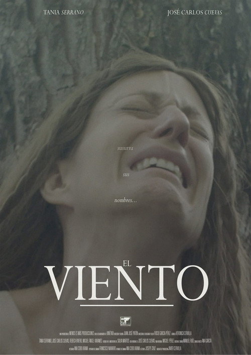 Movie poster for El viento (2024)