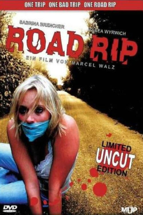 Movie poster for Road Rip (2007)
