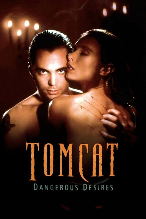 Movie poster for Tomcat: Dangerous Desires (1993)