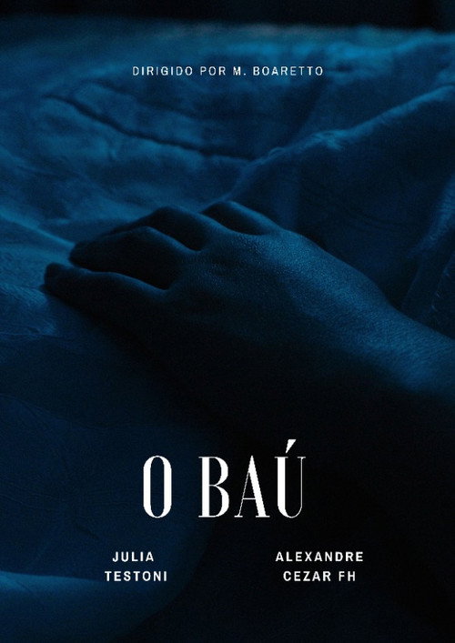 Movie poster for O Baú (2025)
