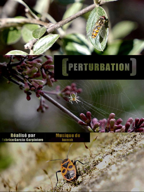 Movie poster for Perturbation (2020)