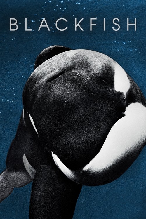 Movie poster for Blackfish (2013)