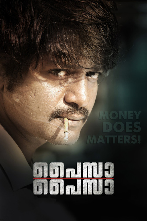 Movie poster for Paisa Paisa (2013)