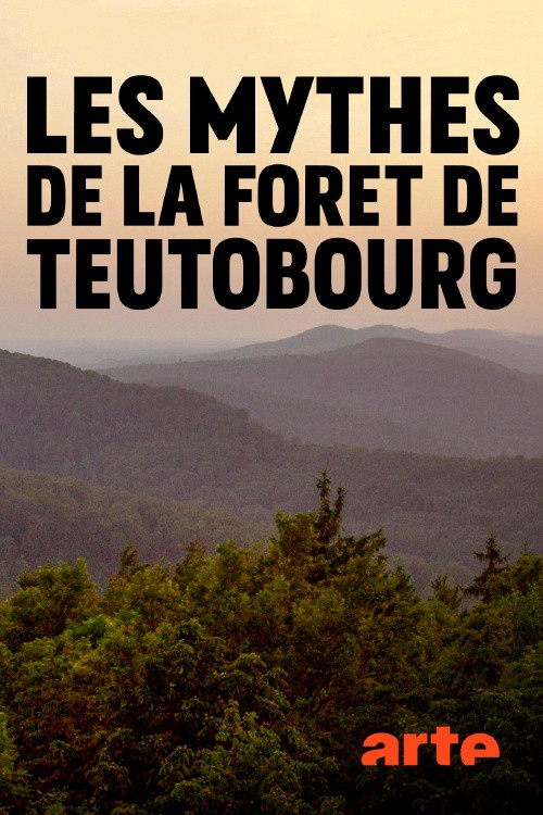Movie poster for Secret Teutoburg Forest (2020)