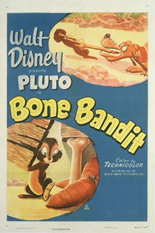 Movie poster for Bone Bandit (1948)